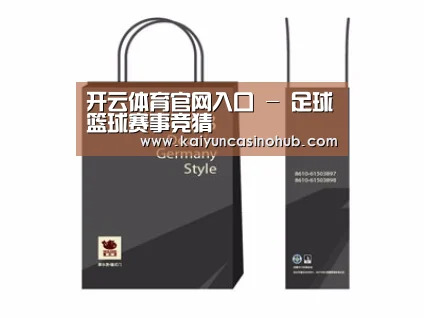 项目名称十四