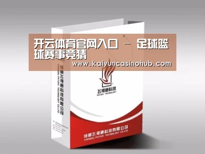 项目名称十三