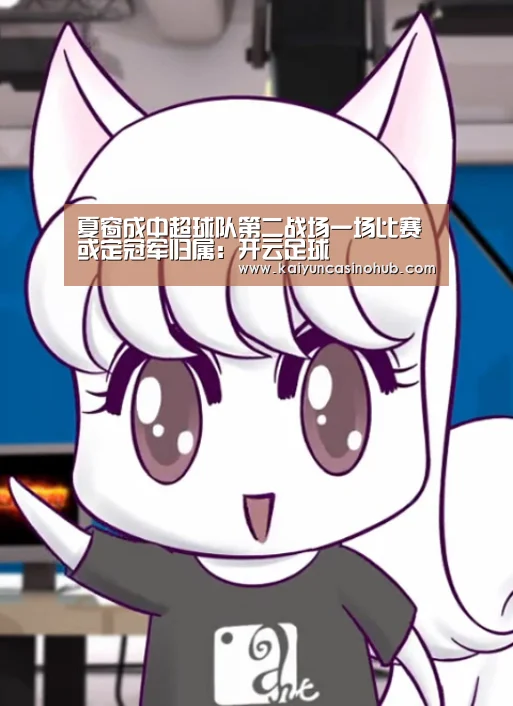夏窗成中超球队第二战场一场比赛或定冠军归属:开云足球(图3) 开云竞猜