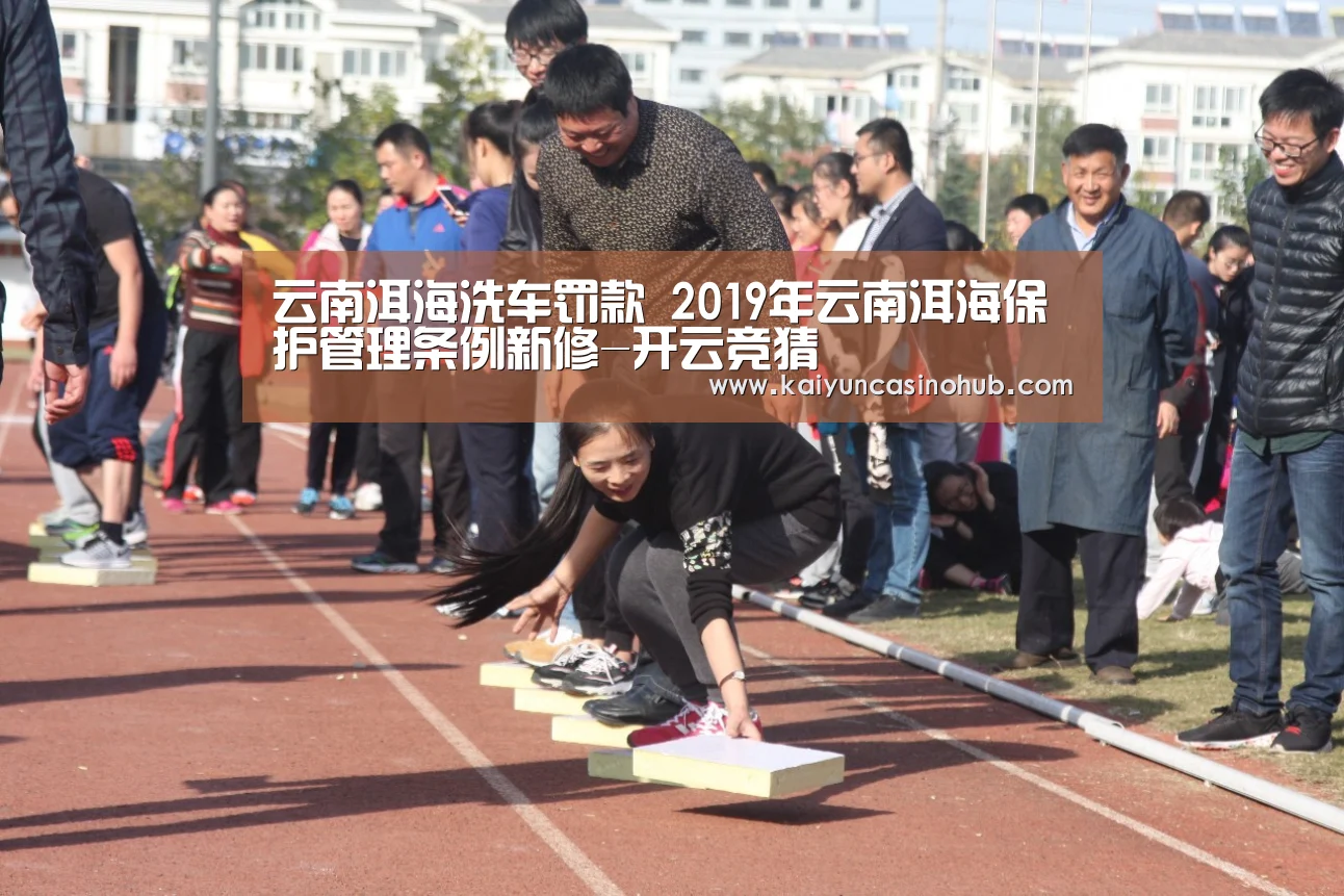 云南洱海洗车罚款 2019年云南洱海保护管理条例新修-开云竞猜(图3) 开云篮球