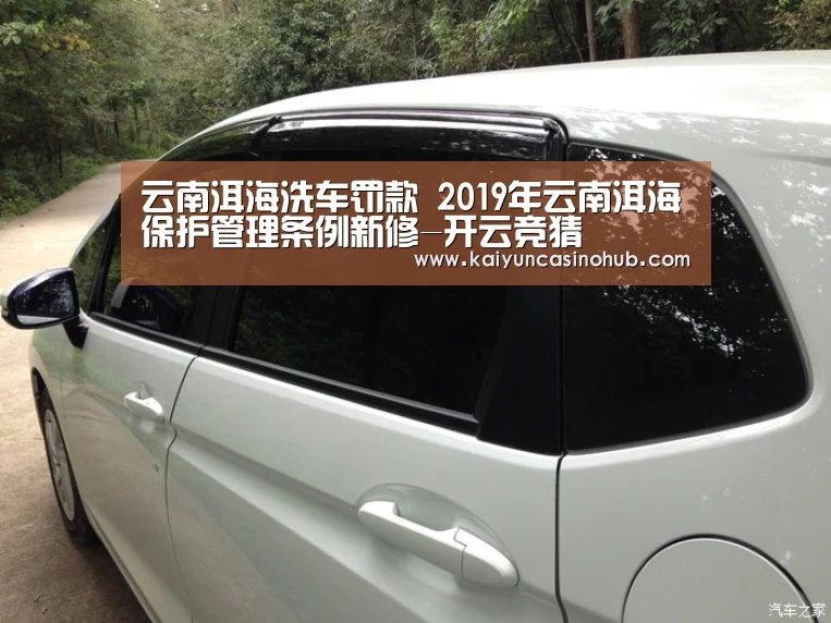 云南洱海洗车罚款 2019年云南洱海保护管理条例新修-开云竞猜(图4) 开云竞猜